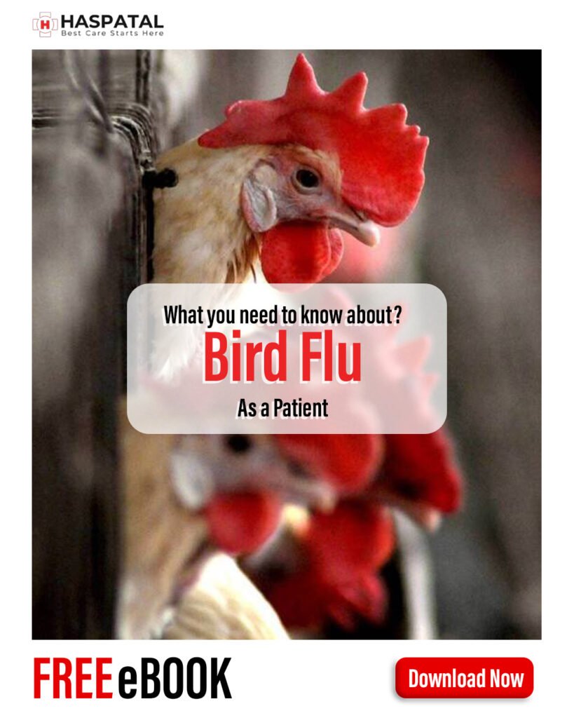 How bird flu can affect your health? Haspatal online consultation app