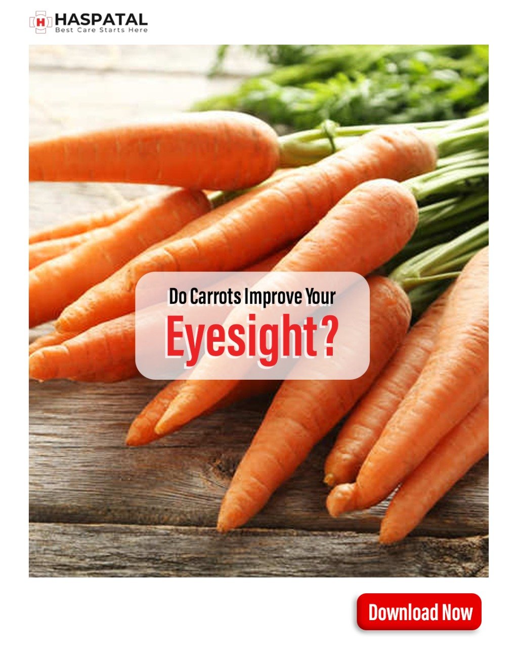 Do Carrots Really Improve Your Eyesight Haspatal App Haspatal｜easy Access To Healthcare Services