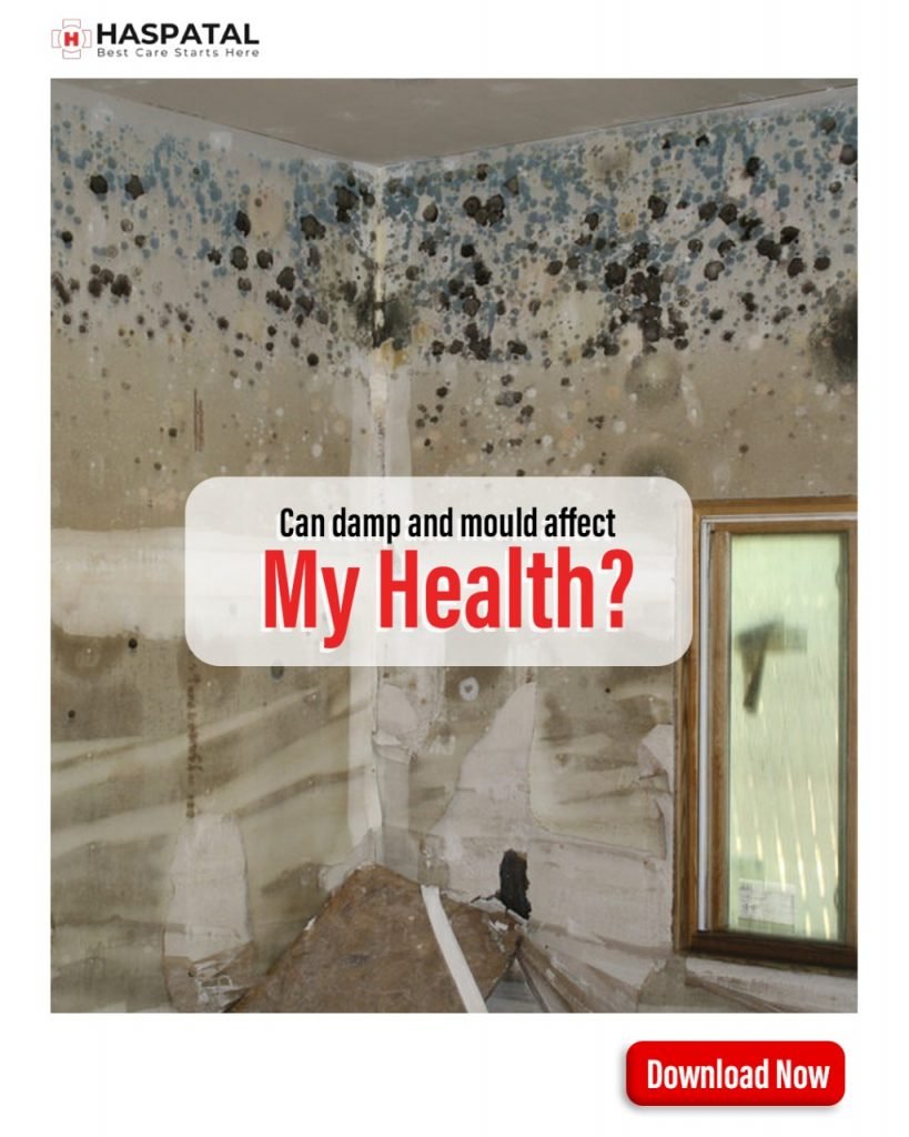 Can damp and mould affect my health? Haspatal App